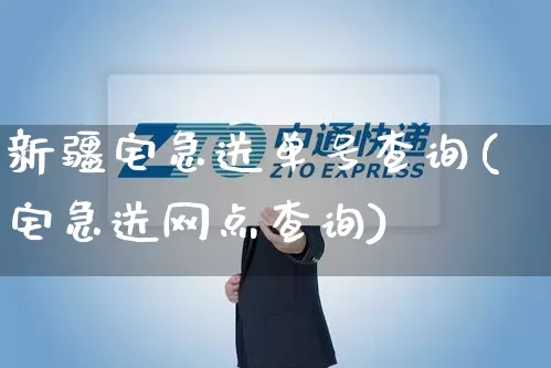 新疆宅急送单号查询(宅急送网点查询)_https://www.senxinmaoyi.com_物流单号_第1张
