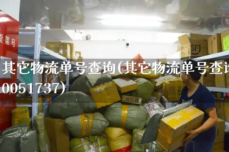 其它物流单号查询(其它物流单号查询20051737)_https://www.senxinmaoyi.com_物流单号_第1张