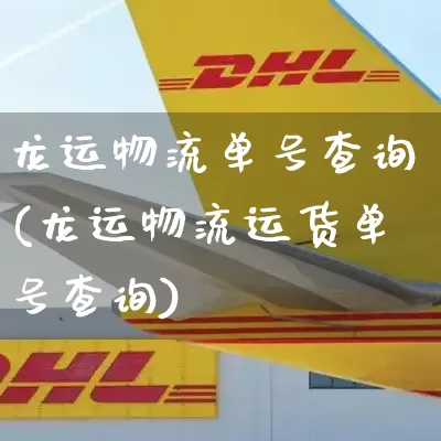 龙运物流单号查询(龙运物流运货单号查询)_https://www.senxinmaoyi.com_快递查询_第1张