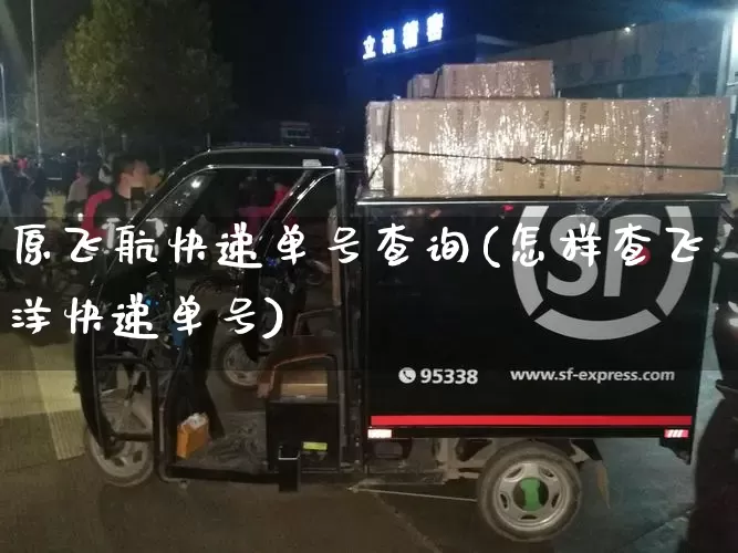 原飞航快递单号查询(怎样查飞洋快递单号)_https://www.senxinmaoyi.com_物流查询_第1张