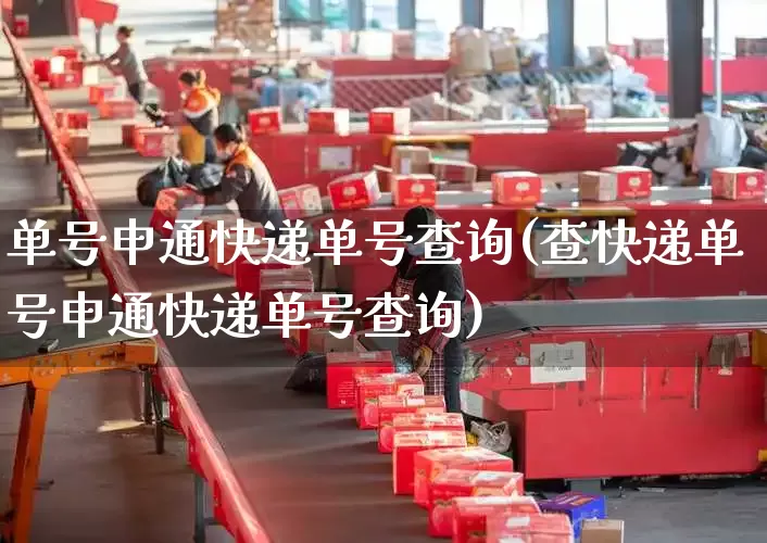 单号申通快递单号查询(查快递单号申通快递单号查询)_https://www.senxinmaoyi.com_快递查询_第1张