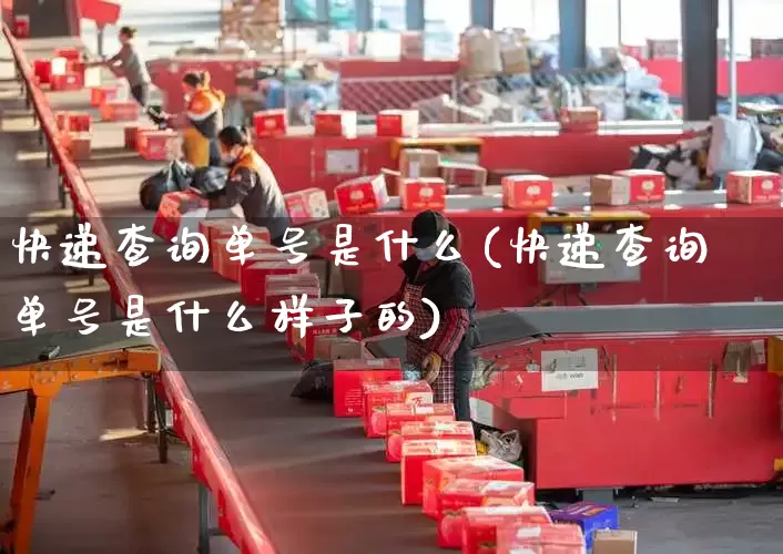 快递查询单号是什么(快递查询单号是什么样子的)_https://www.senxinmaoyi.com_物流单号_第1张