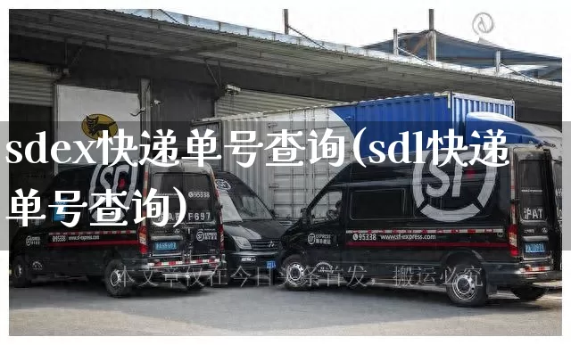 sdex快递单号查询(sdl快递单号查询)_https://www.senxinmaoyi.com_物流查询_第1张