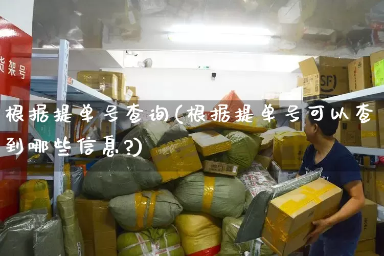 根据提单号查询(根据提单号可以查到哪些信息?)_https://www.senxinmaoyi.com_快递查询_第1张