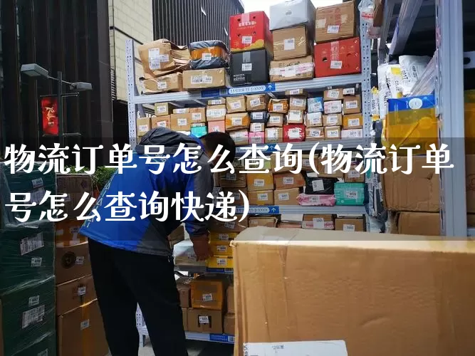 物流订单号怎么查询(物流订单号怎么查询快递)_https://www.senxinmaoyi.com_物流单号_第1张