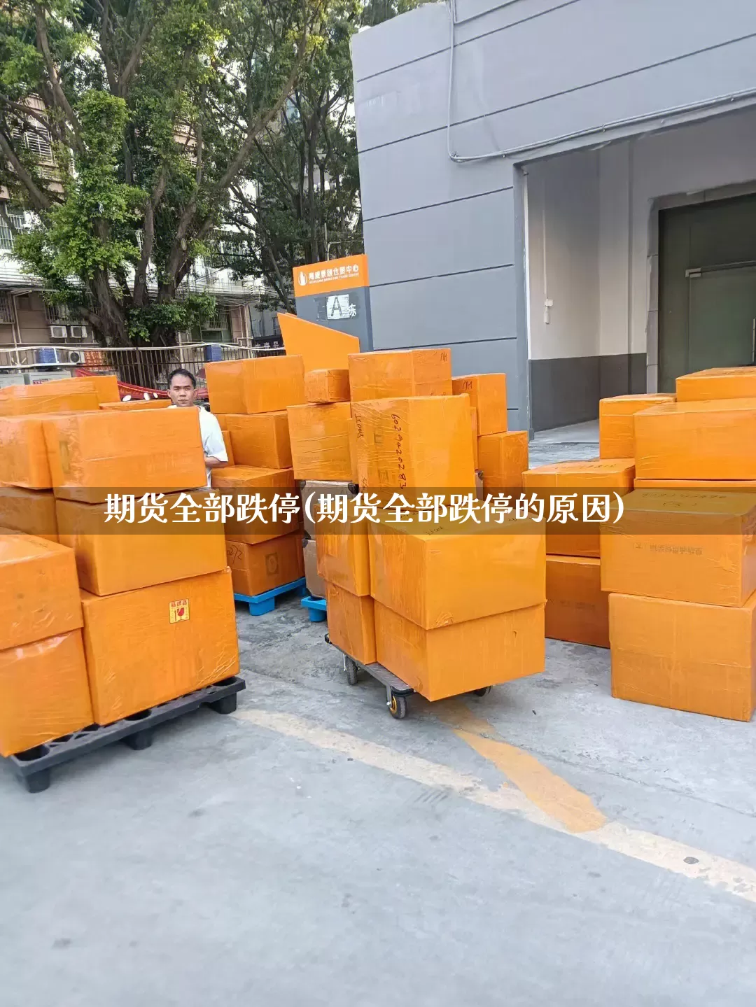 期货全部跌停(期货全部跌停的原因)_https://www.senxinmaoyi.com_快递查询_第1张