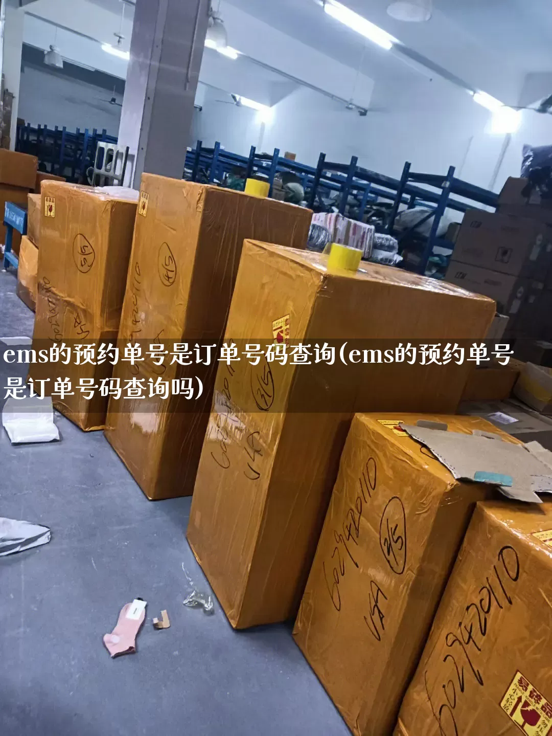 ems的预约单号是订单号码查询(ems的预约单号是订单号码查询吗)_https://www.senxinmaoyi.com_邮政编码_第1张