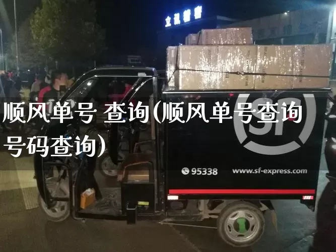 顺风单号 查询(顺风单号查询号码查询)_https://www.senxinmaoyi.com_快递查询_第1张