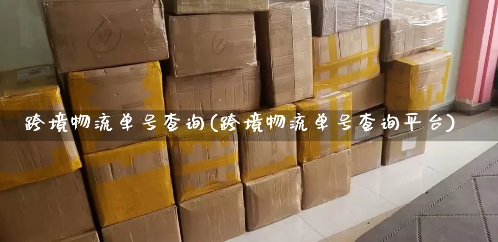 跨境物流单号查询(跨境物流单号查询平台)_https://www.senxinmaoyi.com_邮政编码_第1张
