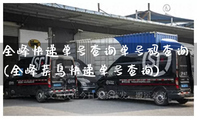 全峰快递单号查询单号码查询(全峰菜鸟快递单号查询)_https://www.senxinmaoyi.com_邮政编码_第1张