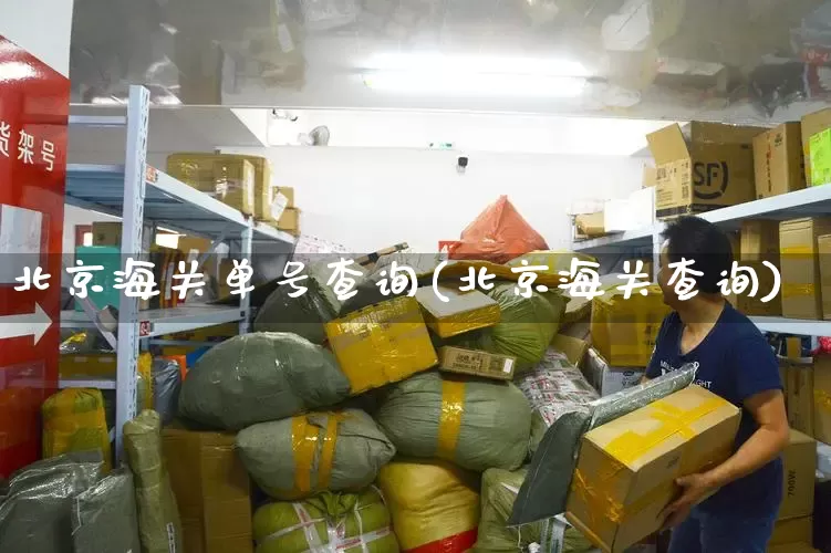 北京海关单号查询(北京海关查询)_https://www.senxinmaoyi.com_物流单号_第1张