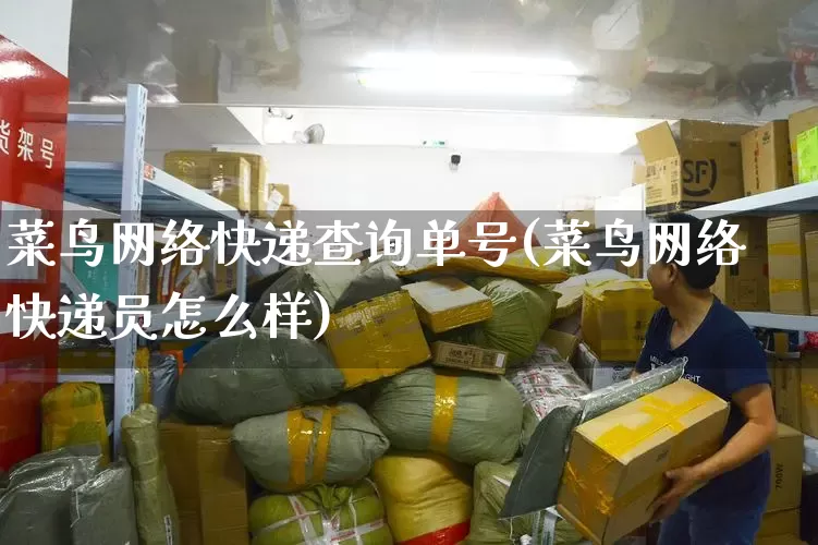 菜鸟网络快递查询单号(菜鸟网络快递员怎么样)_https://www.senxinmaoyi.com_邮政编码_第1张