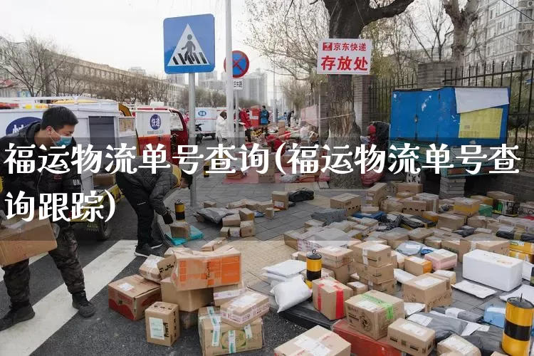 福运物流单号查询(福运物流单号查询跟踪)_https://www.senxinmaoyi.com_物流查询_第1张