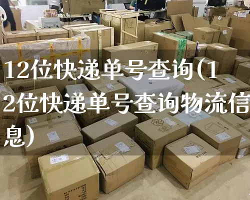 12位快递单号查询(12位快递单号查询物流信息)_https://www.senxinmaoyi.com_物流单号_第1张