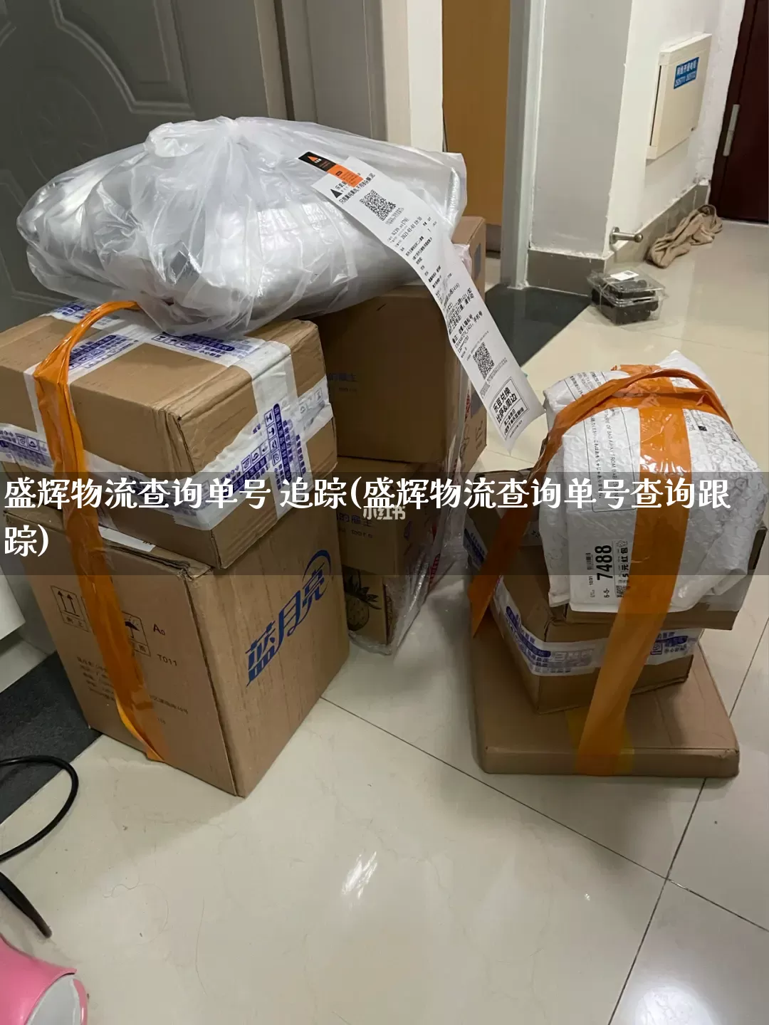 盛辉物流查询单号 追踪(盛辉物流查询单号查询跟踪)_https://www.senxinmaoyi.com_快递查询_第1张