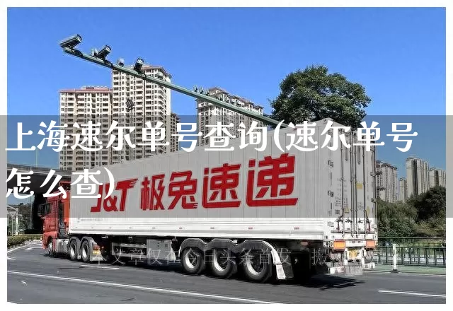 上海速尔单号查询(速尔单号怎么查)_https://www.senxinmaoyi.com_物流单号_第1张