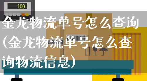 金龙物流单号怎么查询(金龙物流单号怎么查询物流信息)_https://www.senxinmaoyi.com_邮政编码_第1张