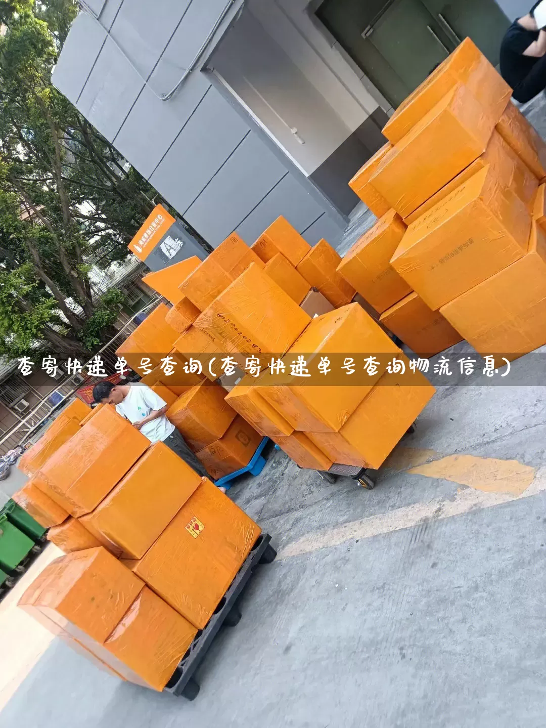 查寄快递单号查询(查寄快递单号查询物流信息)_https://www.senxinmaoyi.com_物流单号_第1张