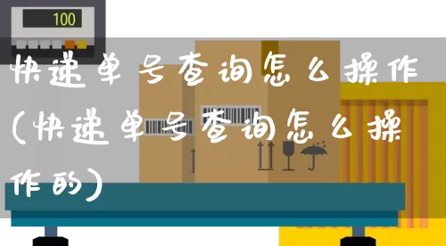 快递单号查询怎么操作(快递单号查询怎么操作的)_https://www.senxinmaoyi.com_物流单号_第1张