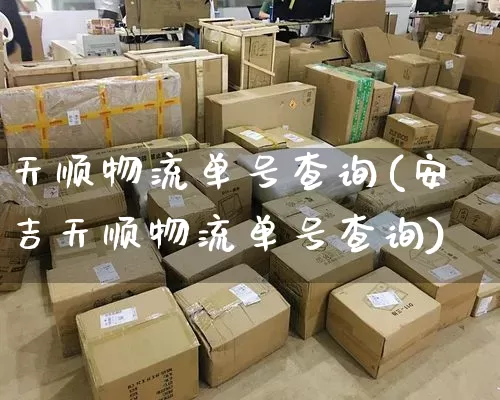 天顺物流单号查询(安吉天顺物流单号查询)_https://www.senxinmaoyi.com_物流单号_第1张