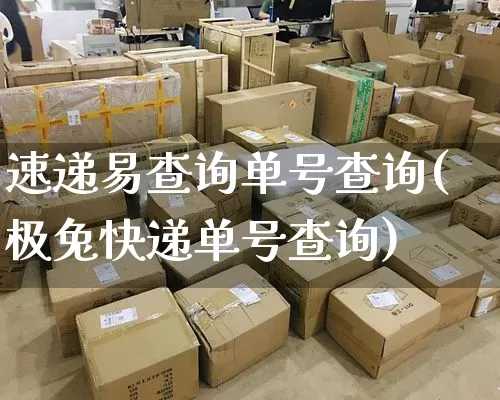 速递易查询单号查询(极兔快递单号查询)_https://www.senxinmaoyi.com_物流查询_第1张