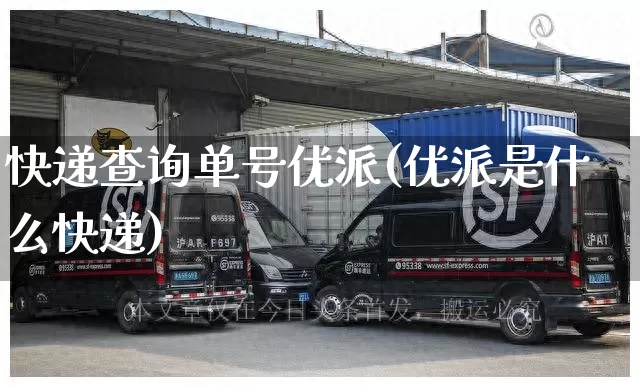 快递查询单号优派(优派是什么快递)_https://www.senxinmaoyi.com_物流单号_第1张