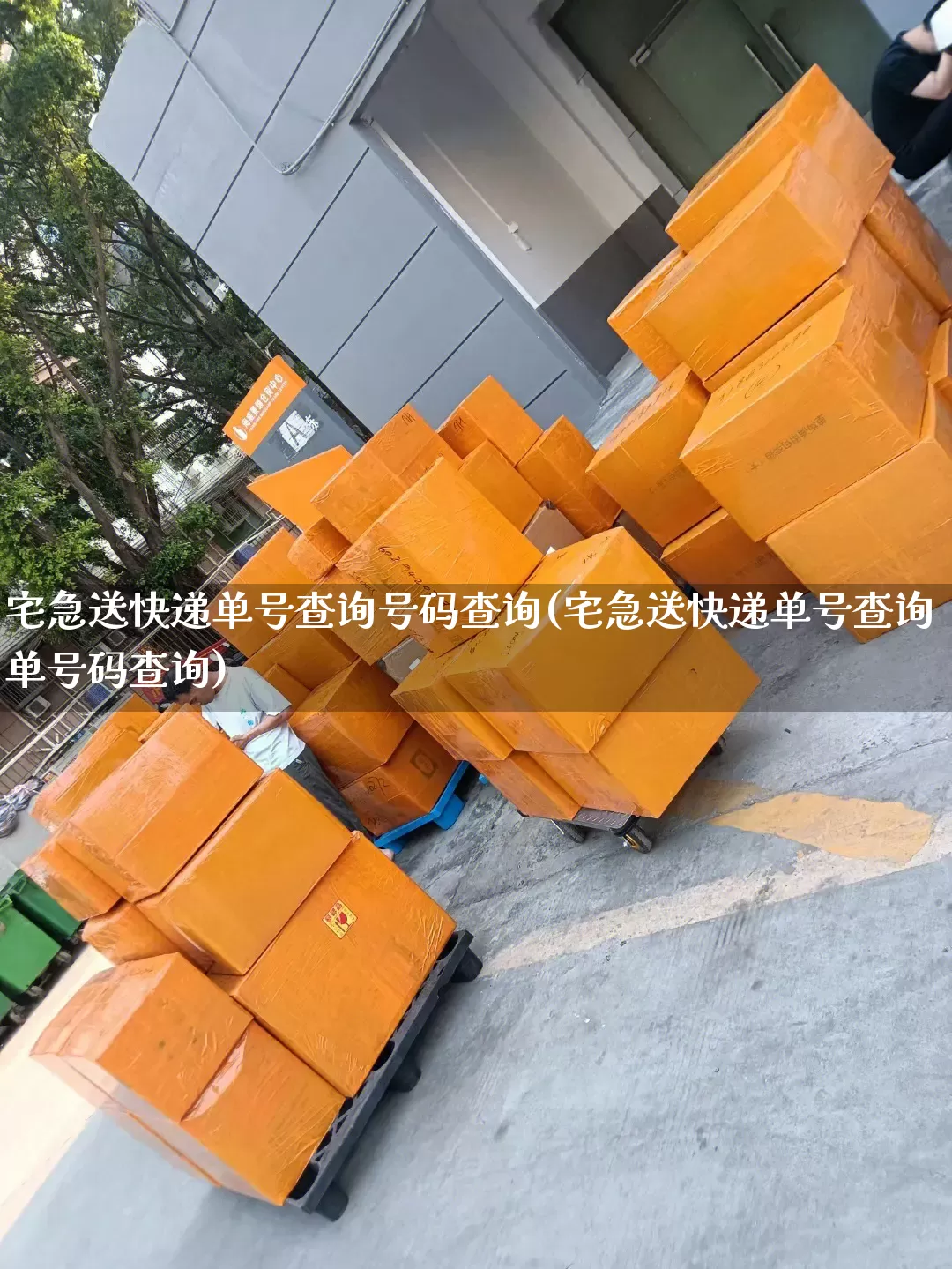 宅急送快递单号查询号码查询(宅急送快递单号查询单号码查询)_https://www.senxinmaoyi.com_邮政编码_第1张