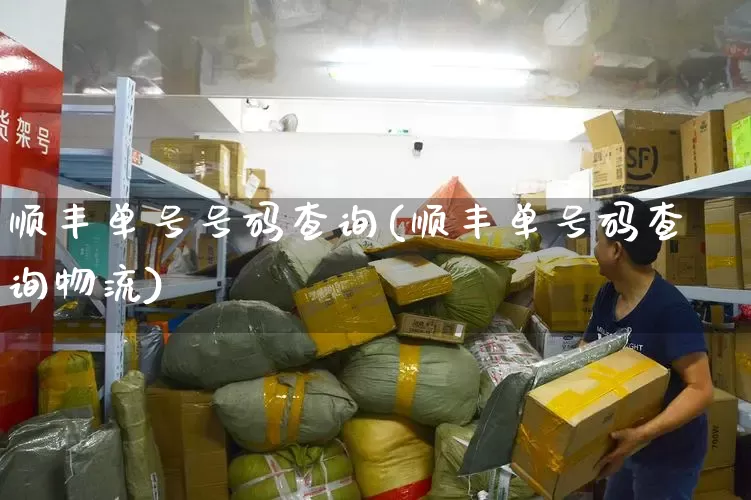 顺丰单号号码查询(顺丰单号码查询物流)_https://www.senxinmaoyi.com_物流单号_第1张