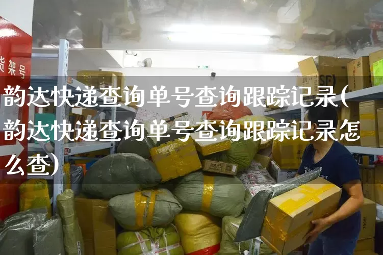 韵达快递查询单号查询跟踪记录(韵达快递查询单号查询跟踪记录怎么查)_https://www.senxinmaoyi.com_物流单号_第1张