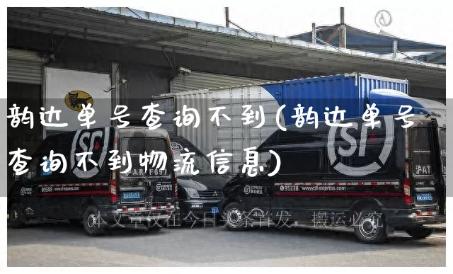 韵达单号查询不到(韵达单号查询不到物流信息)_https://www.senxinmaoyi.com_物流查询_第1张