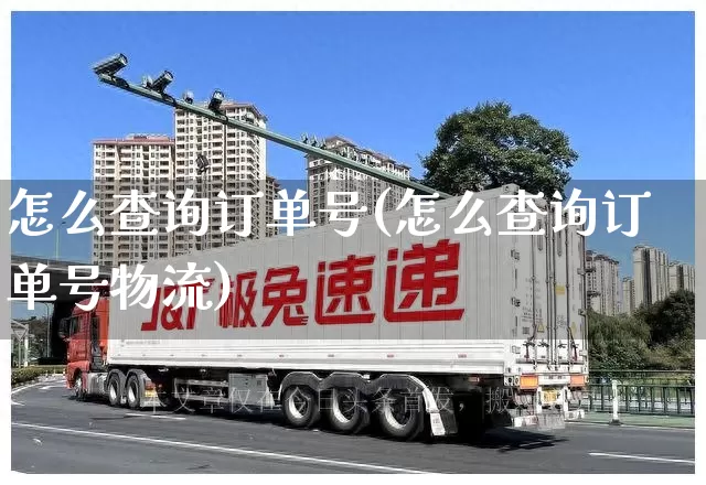 怎么查询订单号(怎么查询订单号物流)_https://www.senxinmaoyi.com_邮政编码_第1张