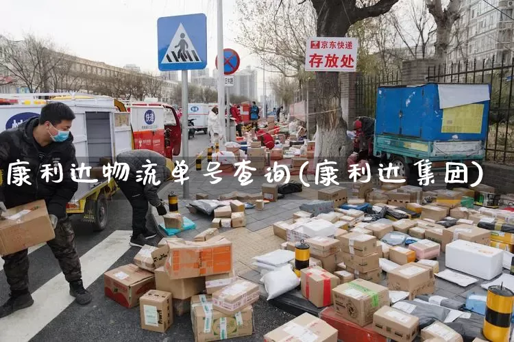 康利达物流单号查询(康利达集团)_https://www.senxinmaoyi.com_邮政编码_第1张