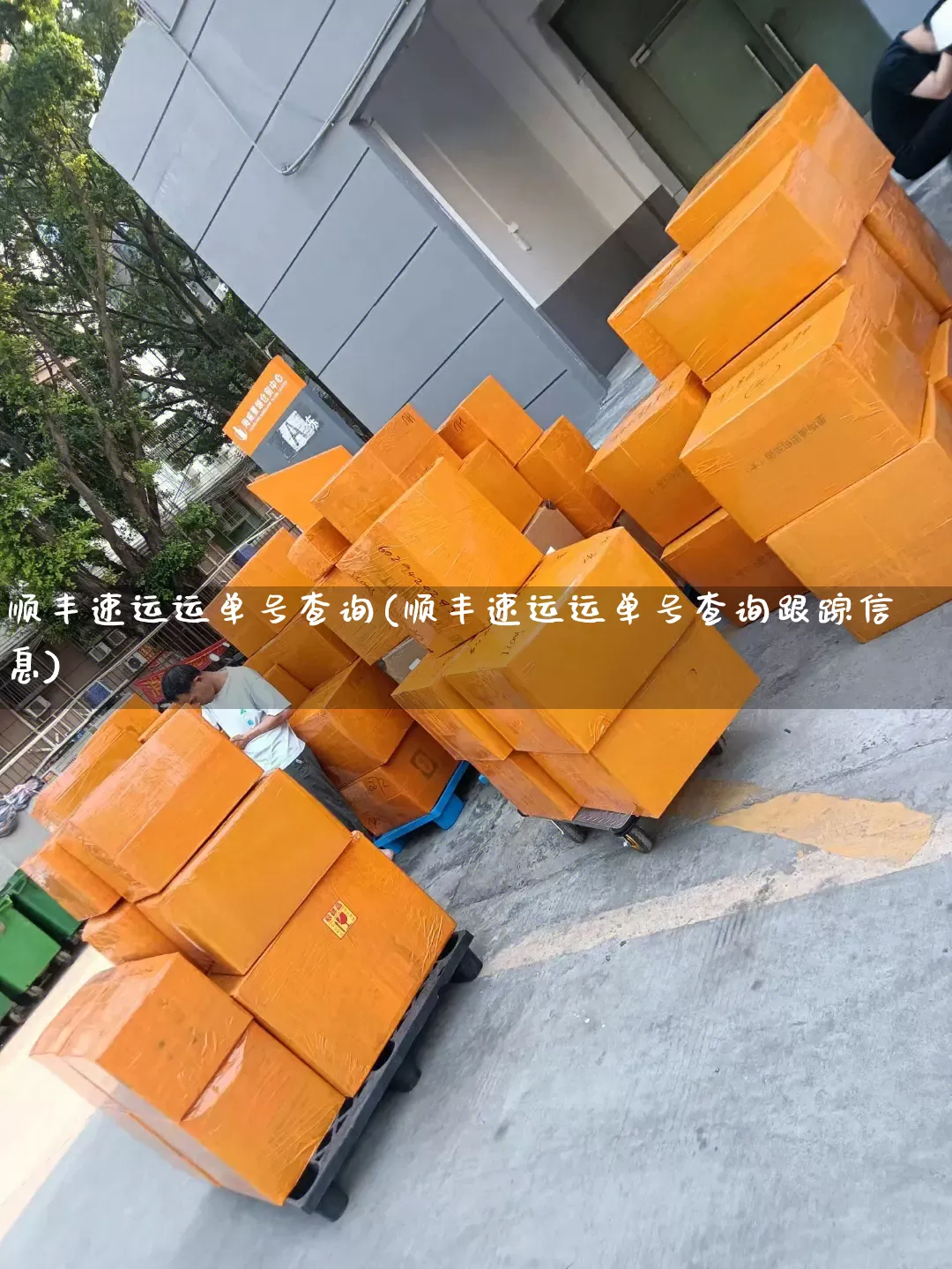 顺丰速运运单号查询(顺丰速运运单号查询跟踪信息)_https://www.senxinmaoyi.com_快递查询_第1张