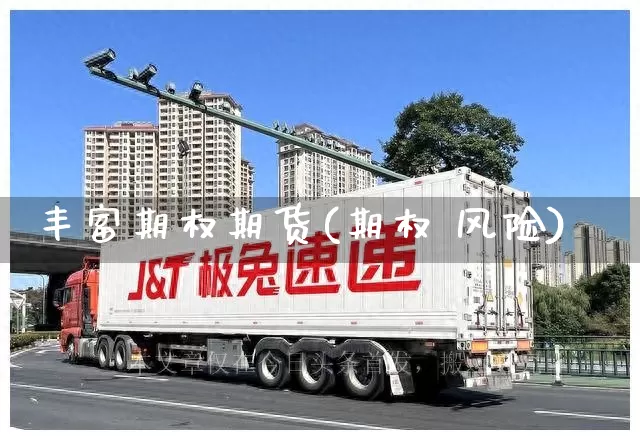 丰富期权期货(期权 风险)_https://www.senxinmaoyi.com_物流单号_第1张