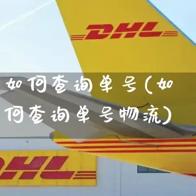 如何查询单号(如何查询单号物流)_https://www.senxinmaoyi.com_快递查询_第1张