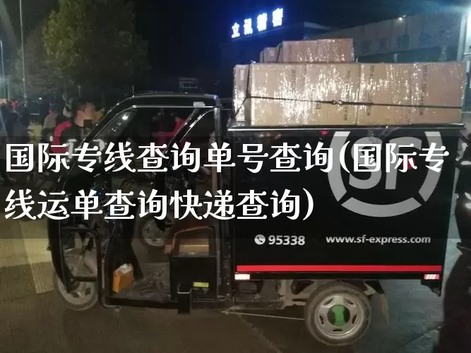 国际专线查询单号查询(国际专线运单查询快递查询)_https://www.senxinmaoyi.com_快递查询_第1张