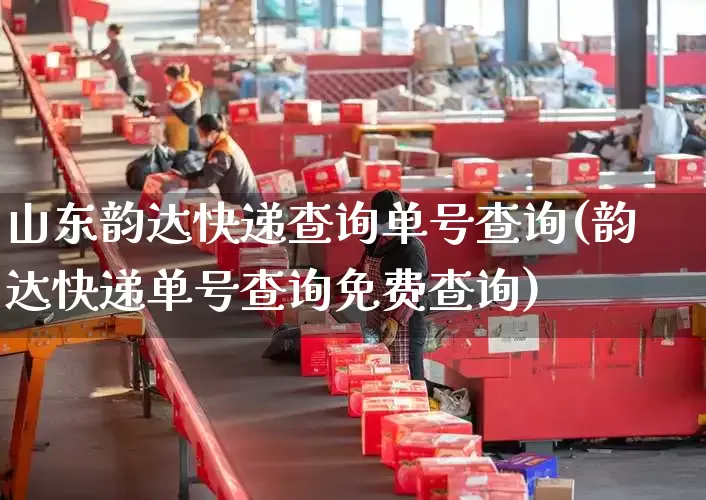 山东韵达快递查询单号查询(韵达快递单号查询免费查询)_https://www.senxinmaoyi.com_物流单号_第1张