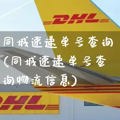 同城速递单号查询(同城速递单号查询物流信息)_https://www.senxinmaoyi.com_邮政编码_第1张