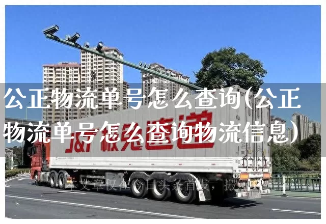 公正物流单号怎么查询(公正物流单号怎么查询物流信息)_https://www.senxinmaoyi.com_物流查询_第1张