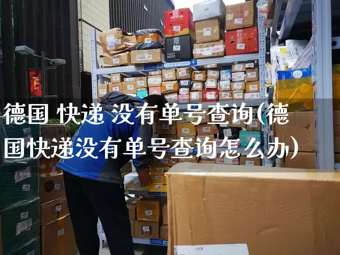 德国 快递 没有单号查询(德国快递没有单号查询怎么办)_https://www.senxinmaoyi.com_物流单号_第1张