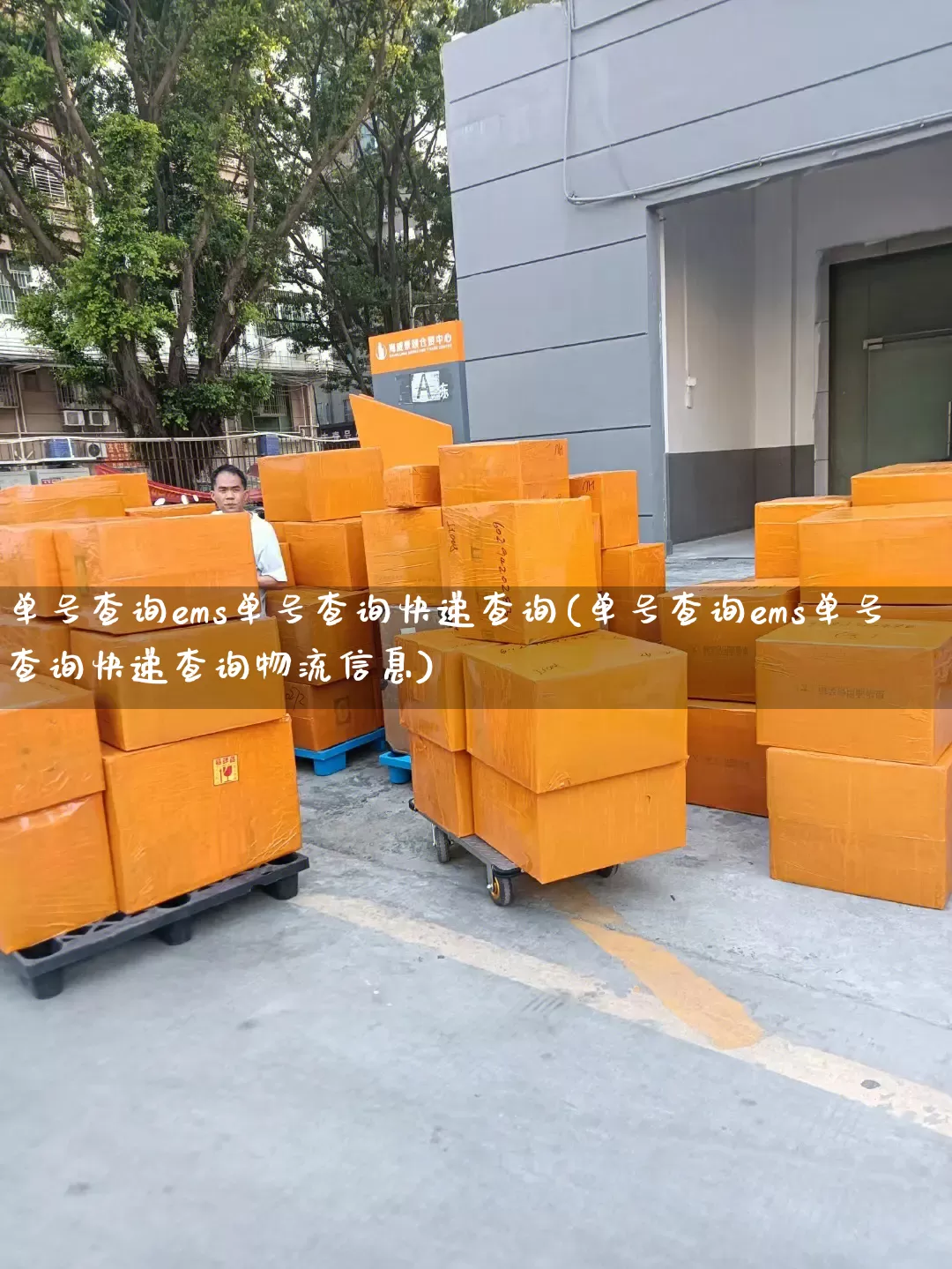 单号查询ems单号查询快递查询(单号查询ems单号查询快递查询物流信息)_https://www.senxinmaoyi.com_快递查询_第1张