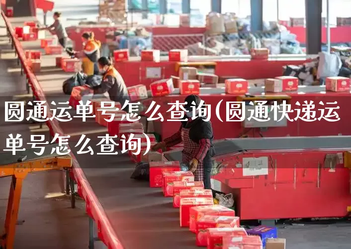 圆通运单号怎么查询(圆通快递运单号怎么查询)_https://www.senxinmaoyi.com_物流查询_第1张
