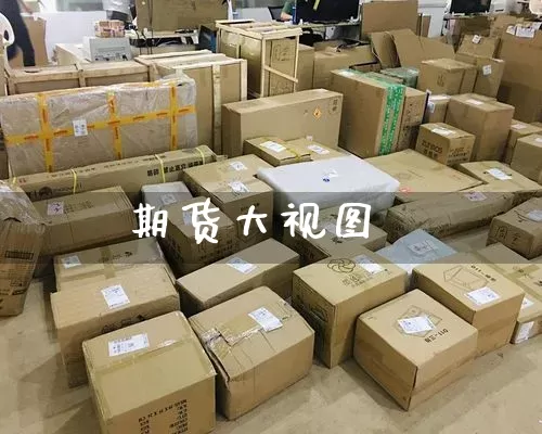 期货大视图_https://www.senxinmaoyi.com_物流单号_第1张