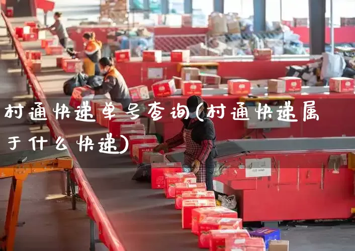 村通快递单号查询(村通快递属于什么快递)_https://www.senxinmaoyi.com_物流单号_第1张