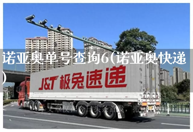 诺亚奥单号查询6(诺亚奥快递)_https://www.senxinmaoyi.com_物流单号_第1张
