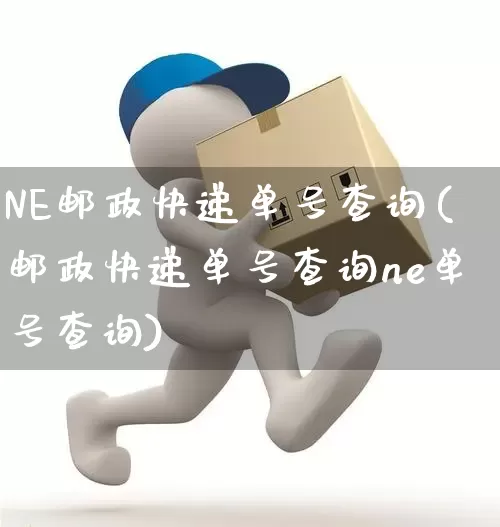 NE邮政快递单号查询(邮政快递单号查询ne单号查询)_https://www.senxinmaoyi.com_物流单号_第1张