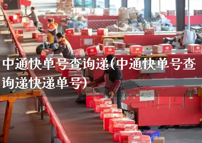 中通快单号查询递(中通快单号查询递快递单号)_https://www.senxinmaoyi.com_物流单号_第1张