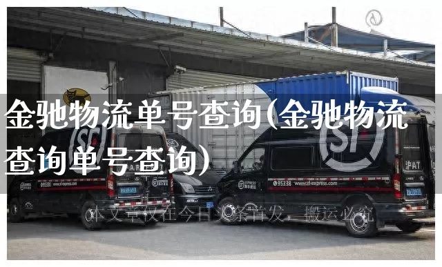 金驰物流单号查询(金驰物流查询单号查询)_https://www.senxinmaoyi.com_快递查询_第1张