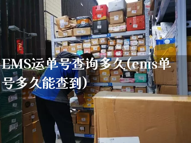 EMS运单号查询多久(ems单号多久能查到)_https://www.senxinmaoyi.com_物流单号_第1张