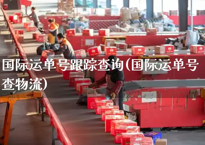 国际运单号跟踪查询(国际运单号查物流)_https://www.senxinmaoyi.com_物流单号_第1张